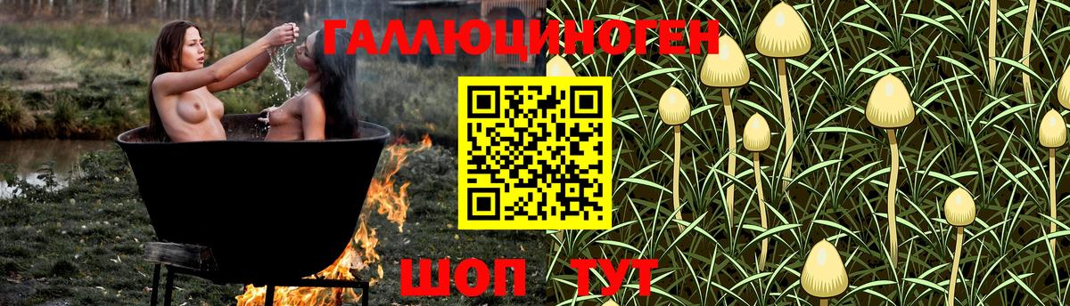 Псилоцибиновые грибы GOLDEN TEACHER Алапаевск