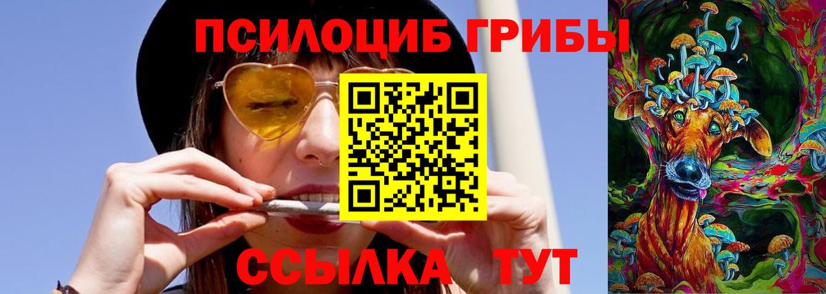 Галлюциногенные грибы мицелий  Вход с VPN  где найти наркотики  Алапаевск 